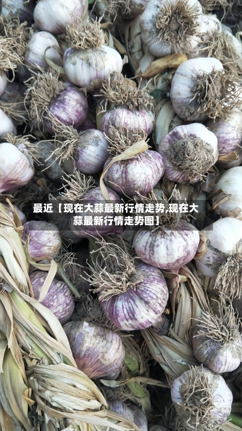最近【现在大蒜最新行情走势,现在大蒜最新行情走势图】-第2张图片