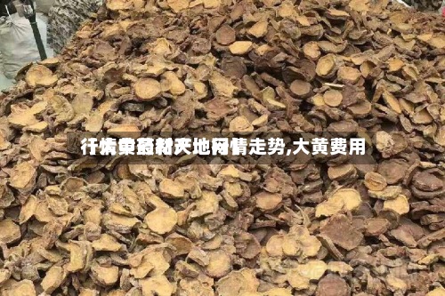 【大黄最新产地行情走势,大黄费用
行情中药材天地网】
