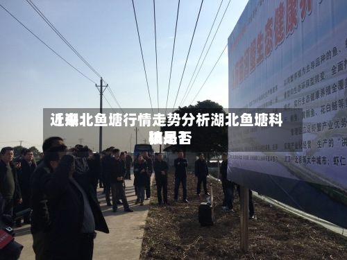近来
【湖北鱼塘行情走势分析湖北鱼塘科技是否
骗局】