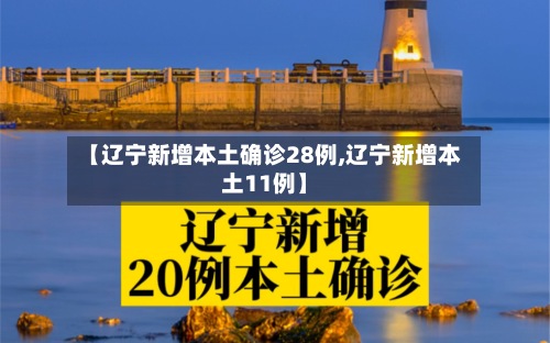 【辽宁新增本土确诊28例,辽宁新增本土11例】