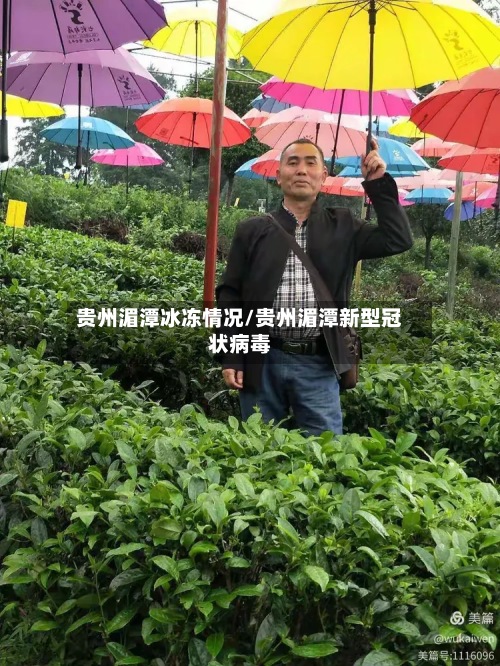 贵州湄潭冰冻情况/贵州湄潭新型冠状病毒