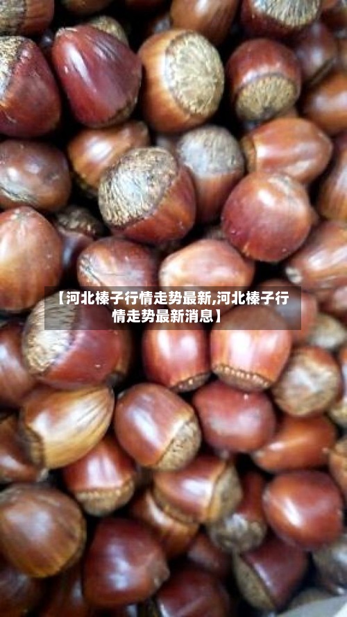【河北榛子行情走势最新,河北榛子行情走势最新消息】