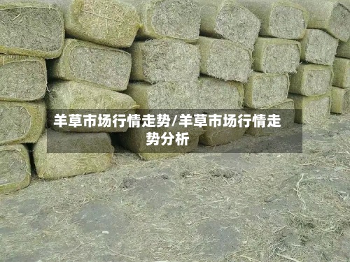 羊草市场行情走势/羊草市场行情走势分析-第3张图片