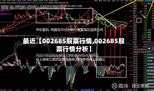 最近【002685股票行情,002685股票行情分析】-第3张图片