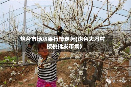 炮台市场水果行情走势(炮台大冯村樱桃批发市场)
