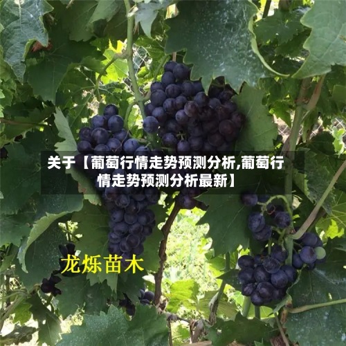 关于【葡萄行情走势预测分析,葡萄行情走势预测分析最新】