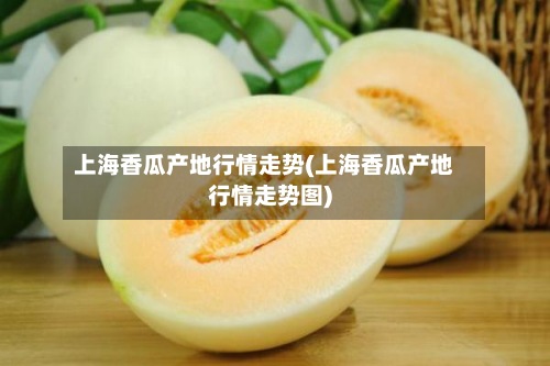 上海香瓜产地行情走势(上海香瓜产地行情走势图)-第2张图片