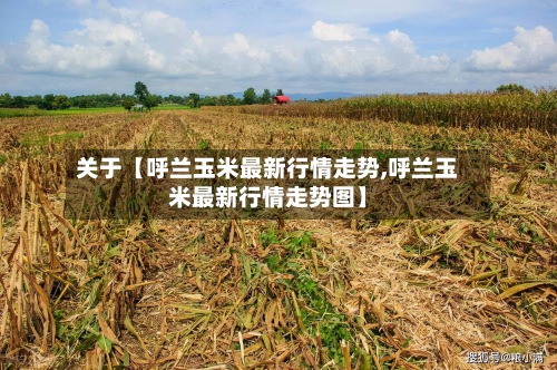 关于【呼兰玉米最新行情走势,呼兰玉米最新行情走势图】