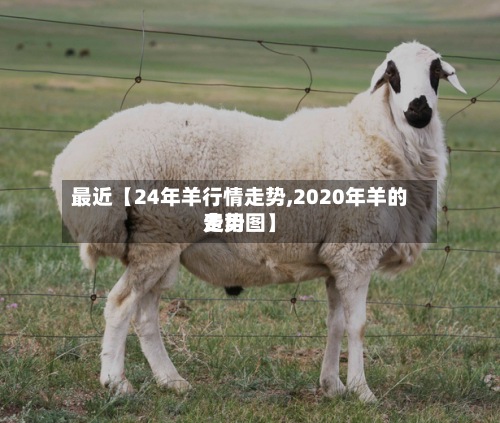 最近【24年羊行情走势,2020年羊的费用走势图】-第2张图片