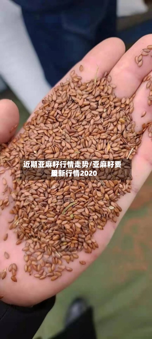 近期亚麻籽行情走势/亚麻籽费用
最新行情2020