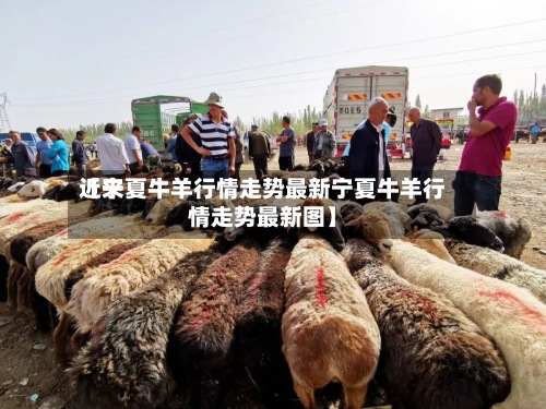 近来
【宁夏牛羊行情走势最新宁夏牛羊行情走势最新图】-第3张图片