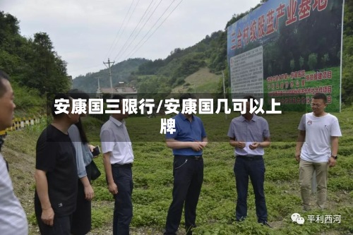 安康国三限行/安康国几可以上牌