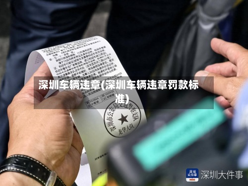深圳车辆违章(深圳车辆违章罚款标准)