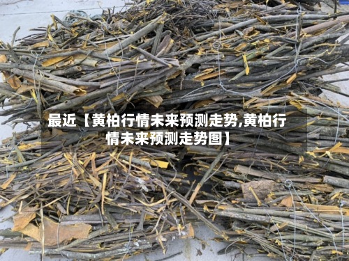 最近【黄柏行情未来预测走势,黄柏行情未来预测走势图】