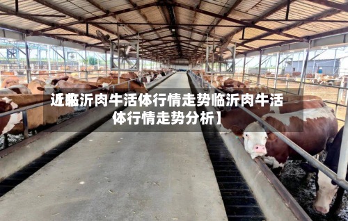 近来
【临沂肉牛活体行情走势临沂肉牛活体行情走势分析】