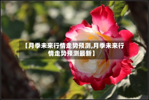 【月季未来行情走势预测,月季未来行情走势预测最新】