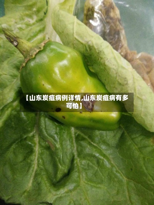 【山东炭疽病例详情,山东炭疽病有多可怕】