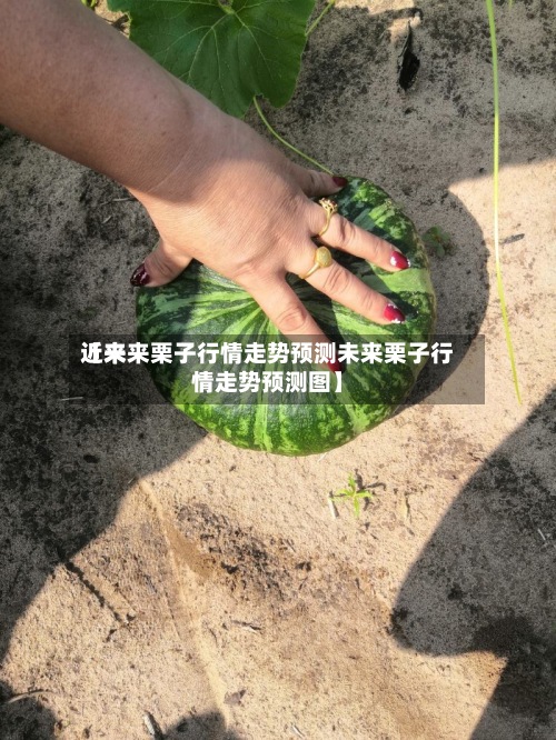 近来
【未来栗子行情走势预测未来栗子行情走势预测图】