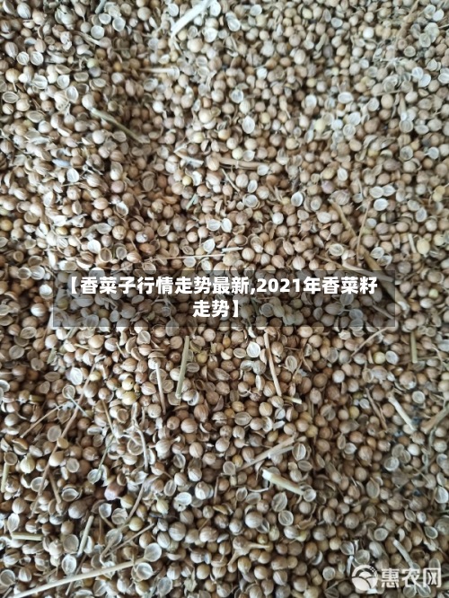 【香菜子行情走势最新,2021年香菜籽走势】-第2张图片