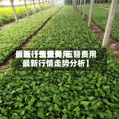 最近【玉簪费用
最新行情走势,玉簪费用
最新行情走势分析】