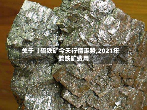 关于【硫铁矿今天行情走势,2021年硫铁矿费用
】-第2张图片