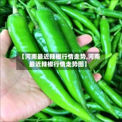 【河南最近辣椒行情走势,河南最近辣椒行情走势图】-第2张图片