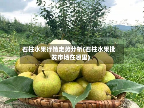 石柱水果行情走势分析(石柱水果批发市场在哪里)-第2张图片