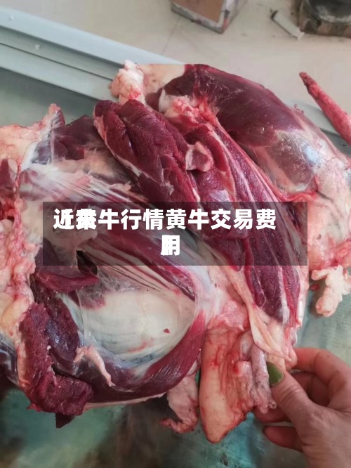近来
【黄牛行情黄牛交易费用
】-第2张图片