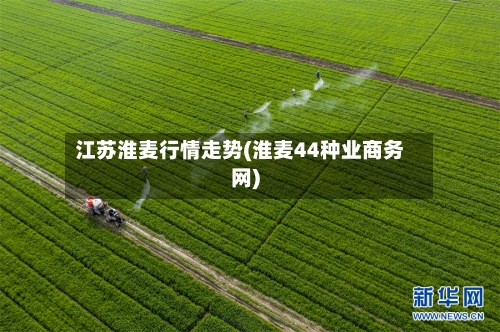 江苏淮麦行情走势(淮麦44种业商务网)