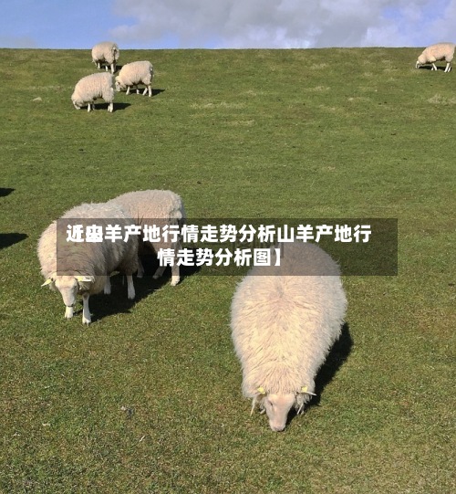 近来【山羊产地行情走势分析山羊产地行情走势分析图】