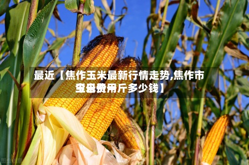 最近【焦作玉米最新行情走势,焦作市玉米费用
今日价一斤多少钱】-第3张图片