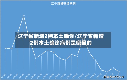 辽宁省新增2例本土确诊/辽宁省新增2例本土确诊病例是哪里的-第2张图片