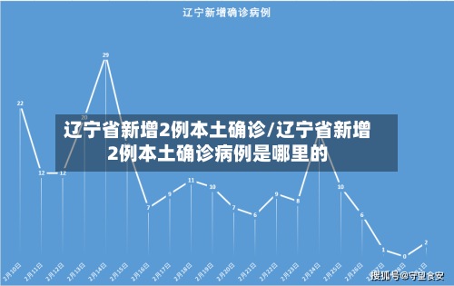 辽宁省新增2例本土确诊/辽宁省新增2例本土确诊病例是哪里的