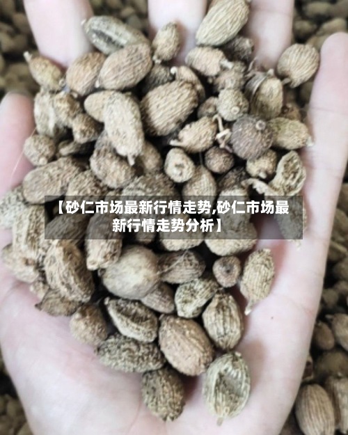 【砂仁市场最新行情走势,砂仁市场最新行情走势分析】