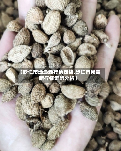 【砂仁市场最新行情走势,砂仁市场最新行情走势分析】-第2张图片