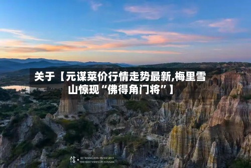 关于【元谋菜价行情走势最新,梅里雪山惊现“佛得角门将”】-第3张图片