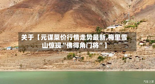 关于【元谋菜价行情走势最新,梅里雪山惊现“佛得角门将”】-第2张图片