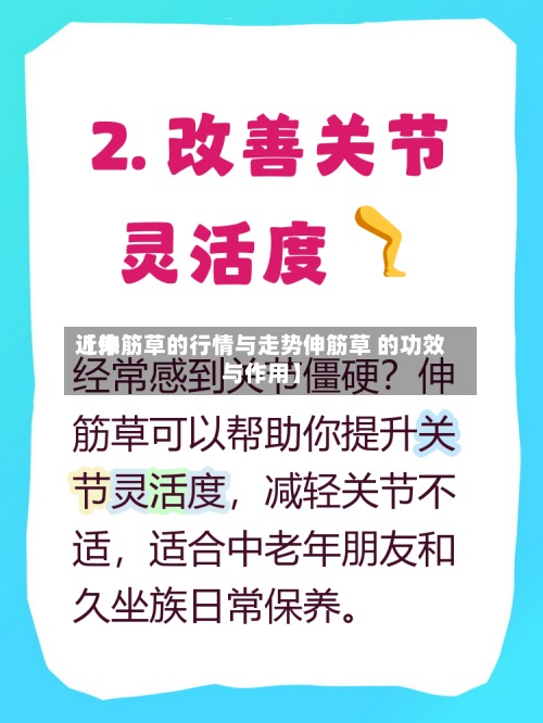 近来
【伸筋草的行情与走势伸筋草 的功效与作用】