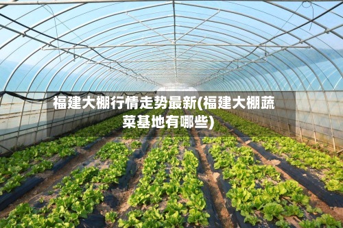 福建大棚行情走势最新(福建大棚蔬菜基地有哪些)-第3张图片