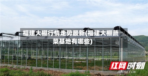 福建大棚行情走势最新(福建大棚蔬菜基地有哪些)