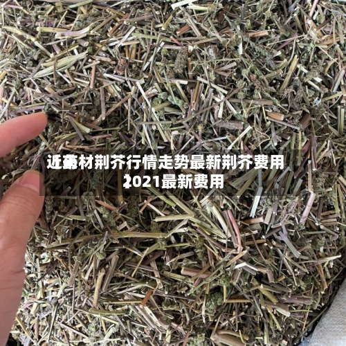 近来【药材荆芥行情走势最新荆芥费用2021最新费用】
