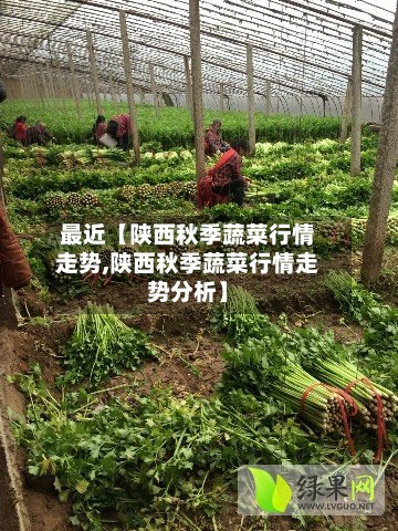 最近【陕西秋季蔬菜行情走势,陕西秋季蔬菜行情走势分析】