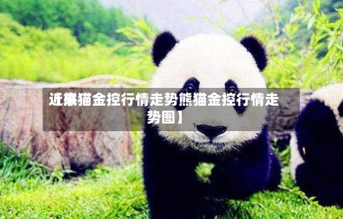 近来
【熊猫金控行情走势熊猫金控行情走势图】