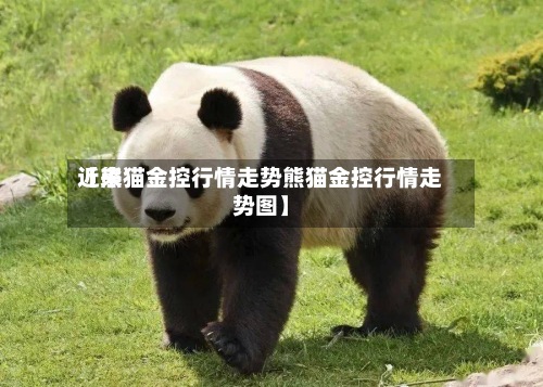 近来
【熊猫金控行情走势熊猫金控行情走势图】-第2张图片