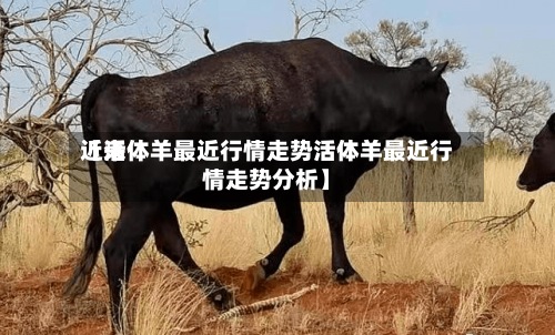 近来
【活体羊最近行情走势活体羊最近行情走势分析】