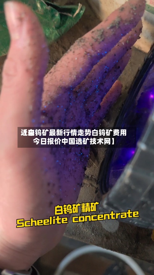 近来
【白钨矿最新行情走势白钨矿费用
今日报价中国选矿技术网】-第3张图片