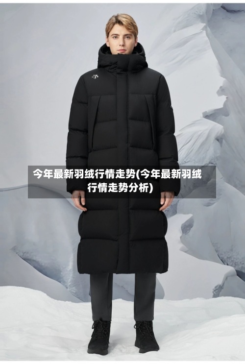 今年最新羽绒行情走势(今年最新羽绒行情走势分析)-第2张图片