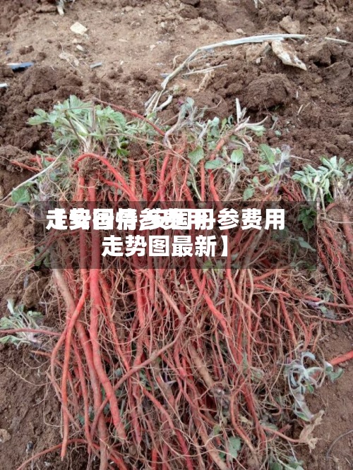 【安国丹参费用走势行情,安国丹参费用走势图最新】-第2张图片