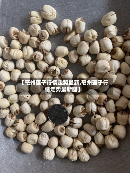 【亳州莲子行情走势最新,亳州莲子行情走势最新图】