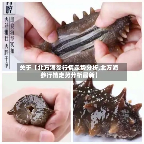 关于【北方海参行情走势分析,北方海参行情走势分析最新】-第2张图片
